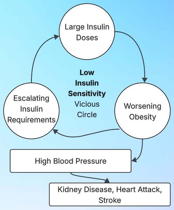Low insulin sensitivity vicious cycle
