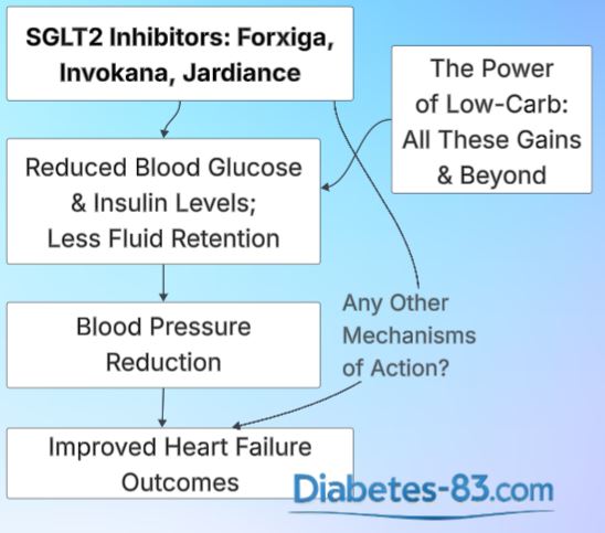 Forxiga, Invokana, and Jardiance for heart failure